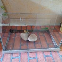 terrario acquario piccolo 