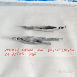 cerniere cofano dx\sx citroen c4 cactus 2016