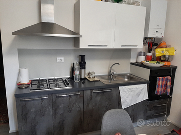 Due bilocali piano terra con giardino