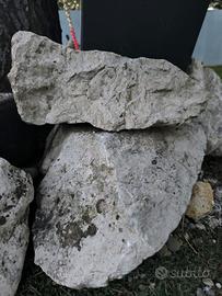 Sassi e massi bianchi decorativi da giardino 30-50