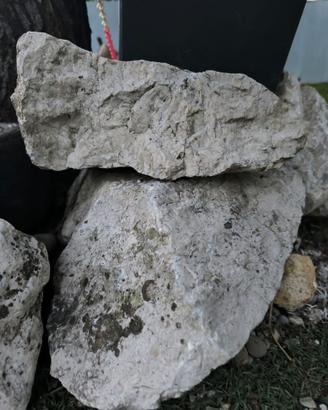 Sassi e massi bianchi decorativi da giardino 30-50