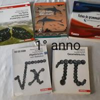 libri scolastici dal 1° al 5° anno liceo