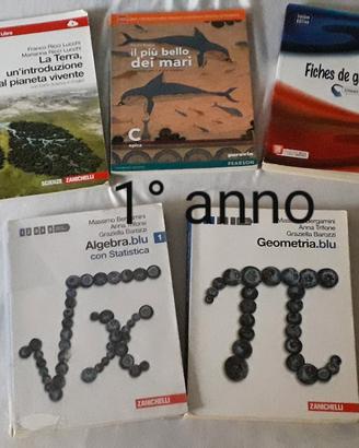 libri scolastici dal 1° al 5° anno liceo