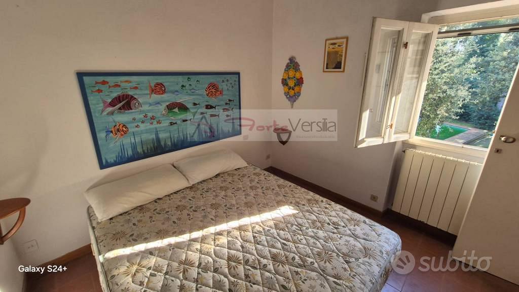House in Forte dei Marmi, Vittoria Apuana - Altro