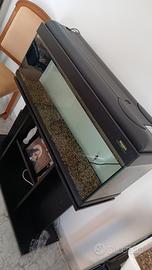 acquario