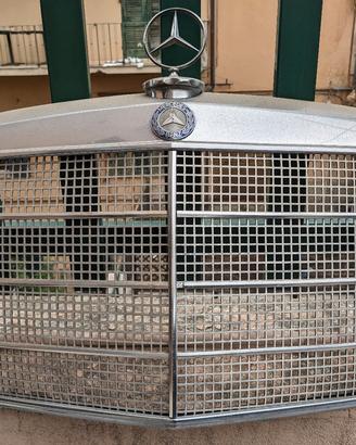 Griglia mascherina Mercedes