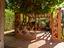 Immagine 12