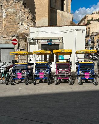 Risciò elettrico 