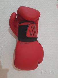 Guantoni da Boxe