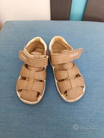 Scarpe Primigi 23