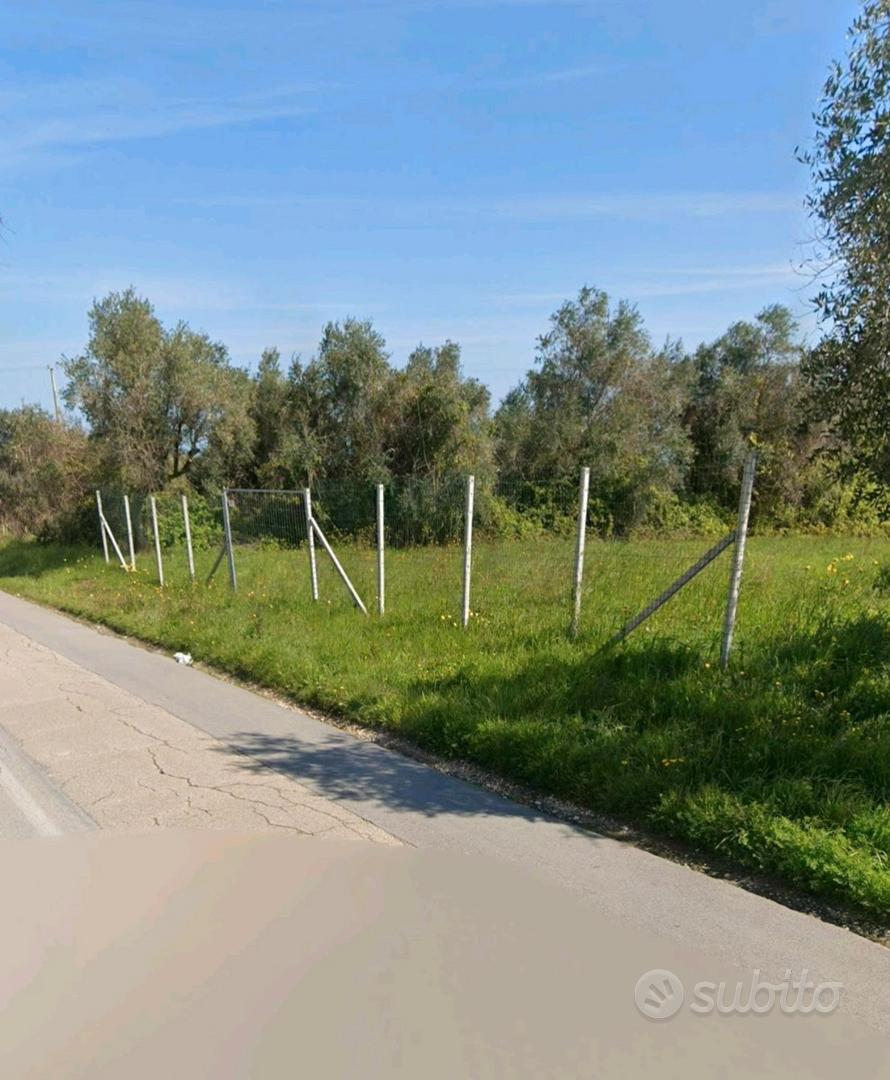 Terreno artigianale/commerciale 4000 mq - Vista 4
