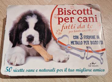 scatola biscotti x cani