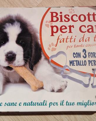 scatola biscotti x cani