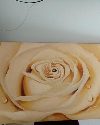 quadro