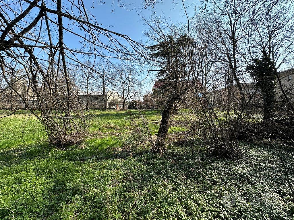 Rif.2460TE52559| area edificabile san giorgio pia - Vista 3
