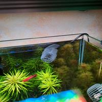 pompe SICCE VOYAGER NANO per acquario