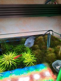 pompe SICCE VOYAGER NANO per acquario