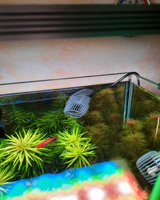 pompe SICCE VOYAGER NANO per acquario