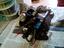 Immagine 3
