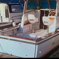 TUCCOLI T 25 MOBY DICK + 2x130hp VOLVO PENTA