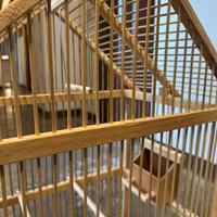 Gabbietta per volatili