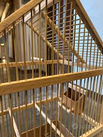 Gabbietta per volatili