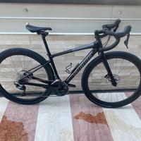 SPECIALIZED DIVERGE CARBON