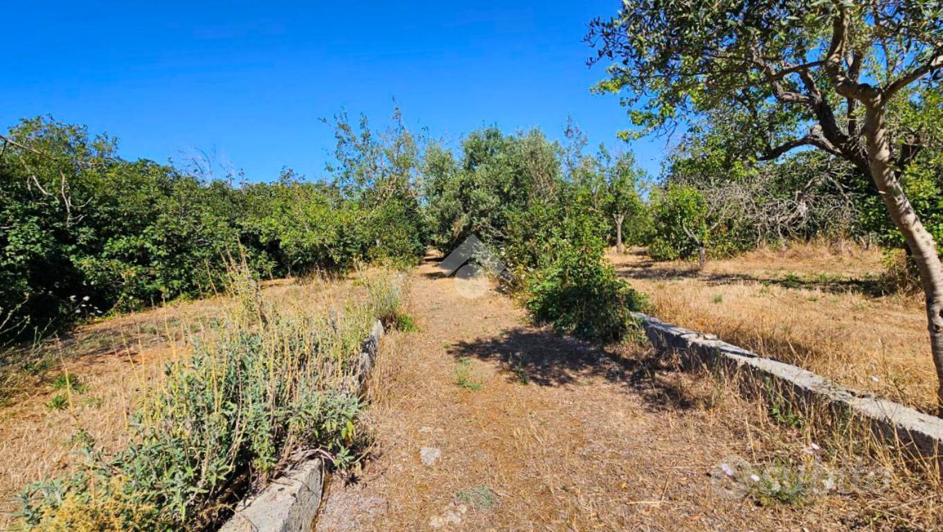 RUSTICO A GALATONE - Vista 5