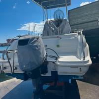 Barca nuova schizzo 540