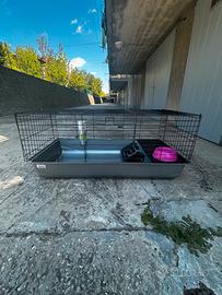 Gabbia per Coniglio Nuova