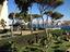 Immagine 15
