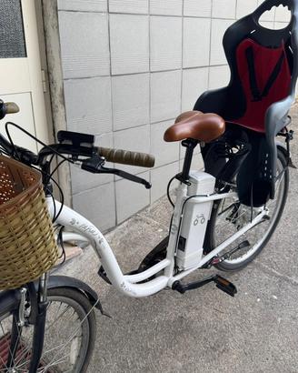 Bici elettrica assistita