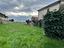 Immagine 11