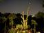 Immagine 25
