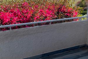 Luglio a Pietrabianca