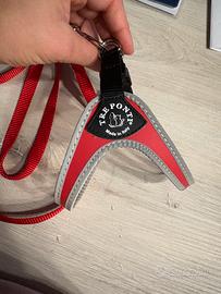 Pettorina e guinzaglio