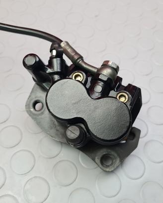 PINZA POSTERIORE TRIUMPH SPEEDMASTER 800 2003 2005