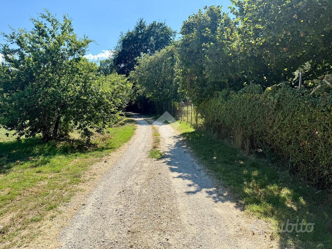 RUSTICO A ORTE - Vista 3