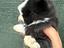 Immagine 2