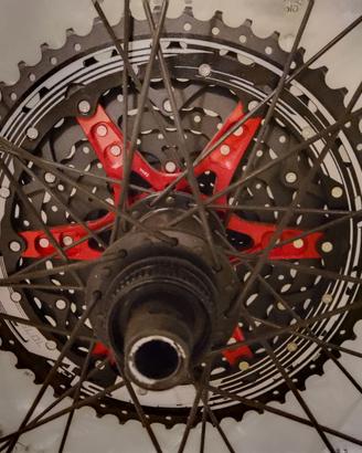 Ruote WTB i23 per MTB 29