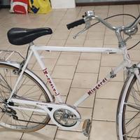 Bicicletta vintage