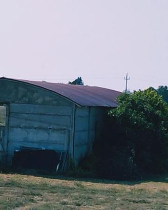 Capannone agricolo