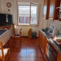 Camera in appartamento zona Coop Cisanello