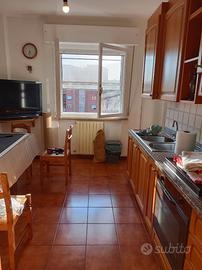 Camera in appartamento zona Coop Cisanello