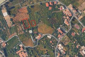 Terreno Agricolo Barcellona Pozzo di Gotto
