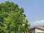 Immagine 19