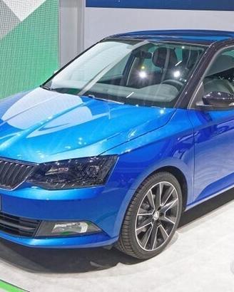 Ricambi usati skoda fabia 2014-2021