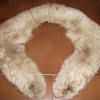 Collo di volpe