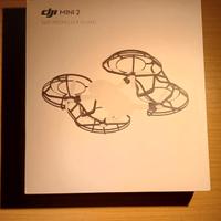 dji paraeliche mini 2