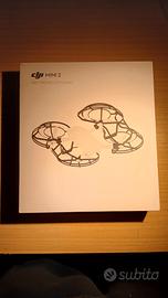 dji paraeliche mini 2